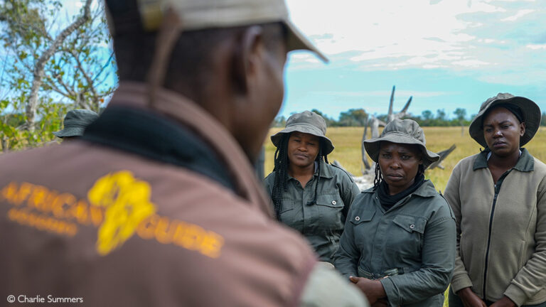 Women In Africa Picking Up The Post Pandemic Pieces Africa Geographic   Great Plains 22 768x432 