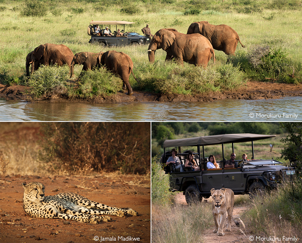 malaria free safari areas