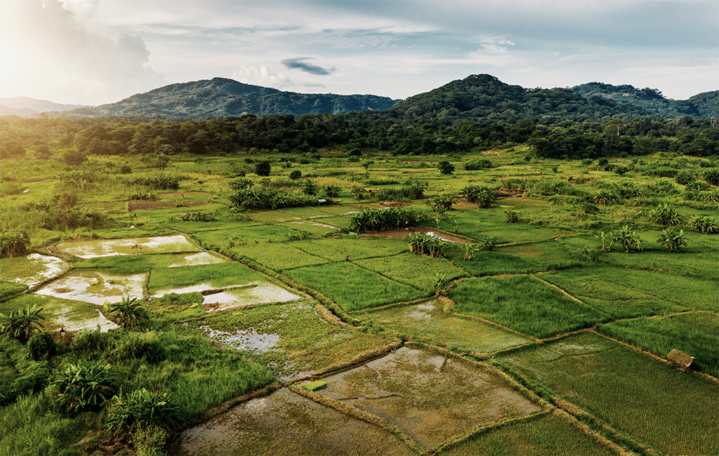 agricultural landscape Malawi
