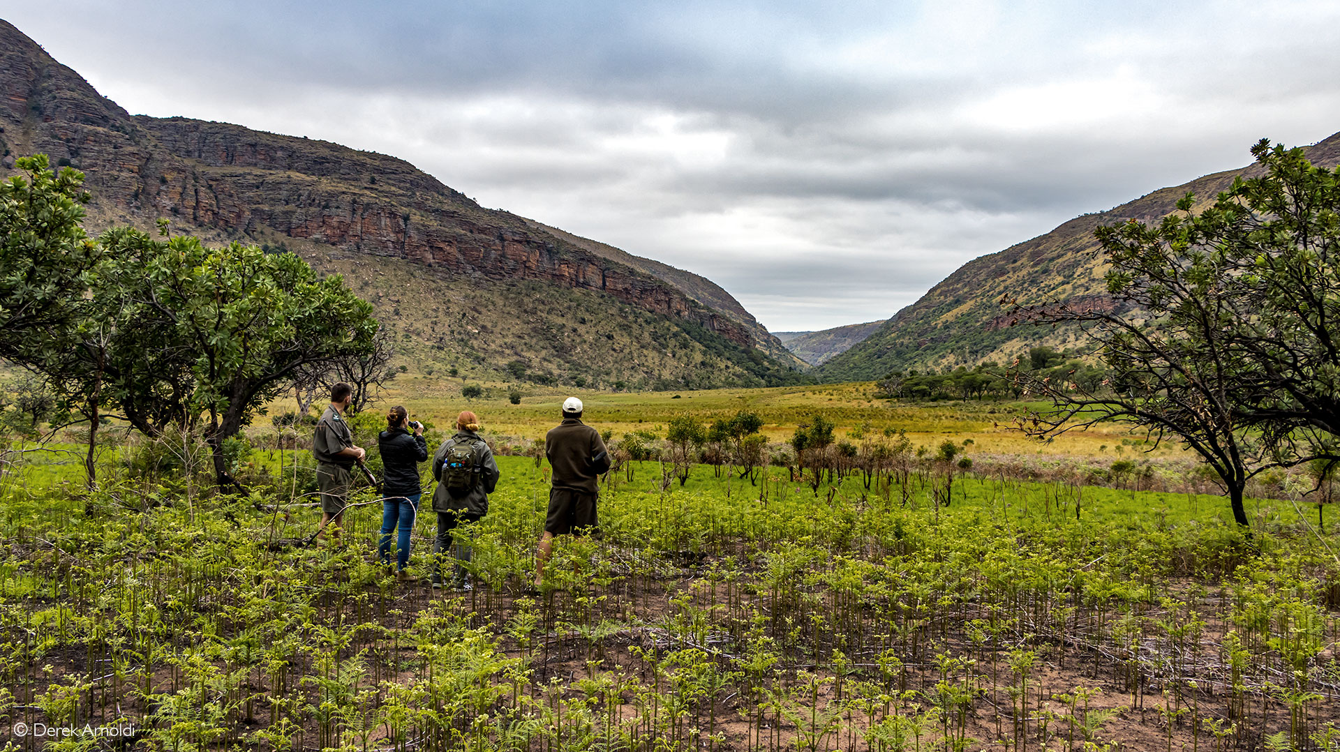 malaria-free safari