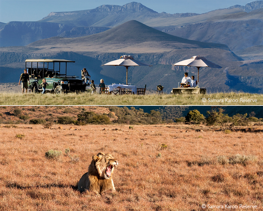 malaria-free safari