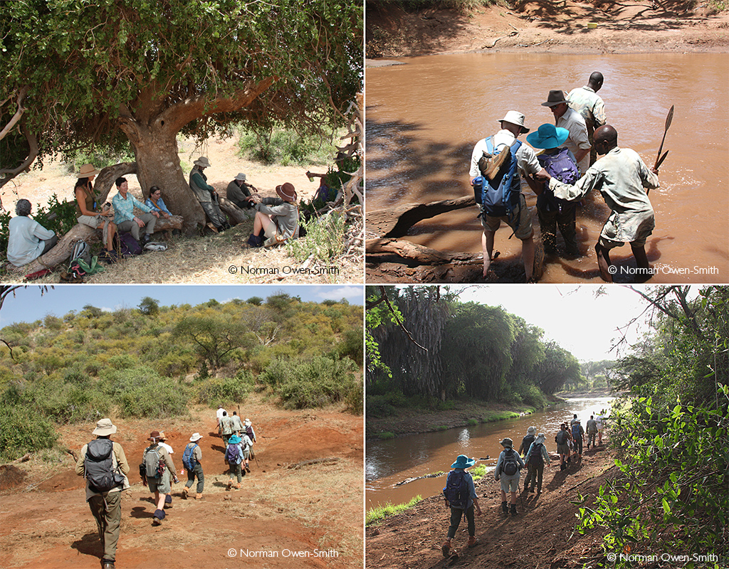 Tsavo Great Walk