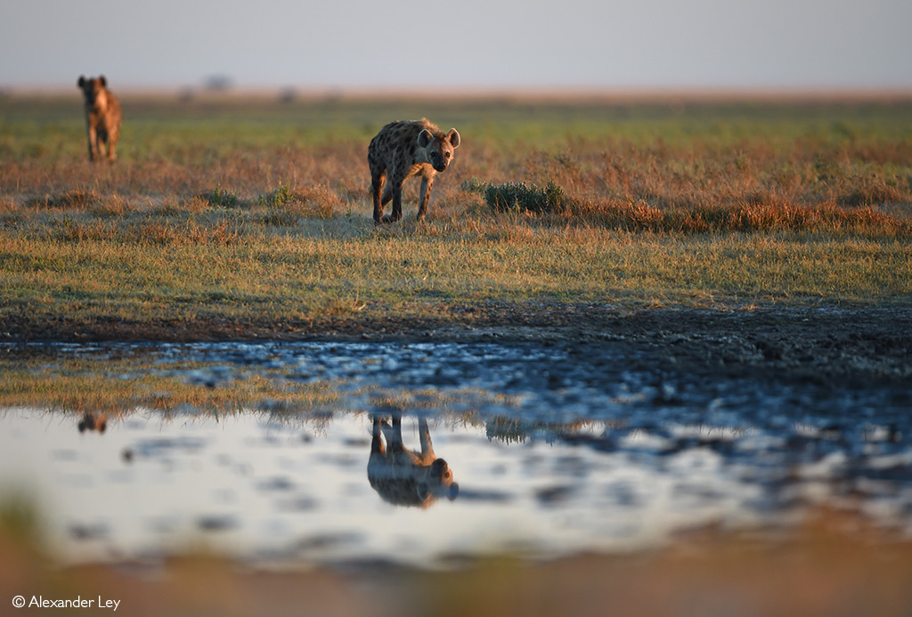 Liuwa Plain