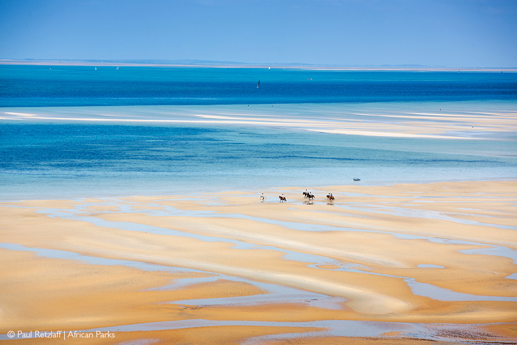 bush and beach safari African safari
