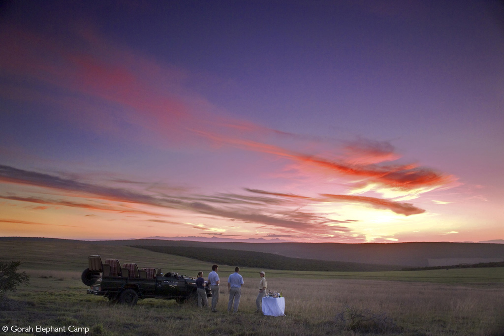 bush and beach safari African safari