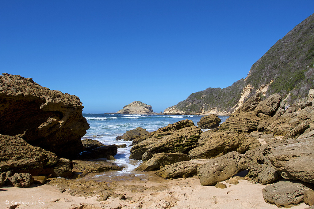 bush and beach safari African safari
