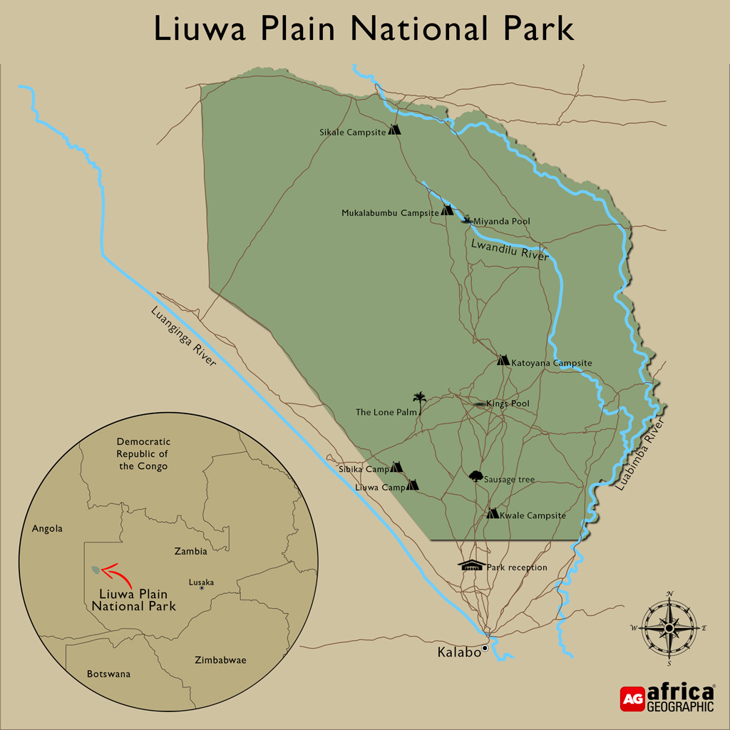 Zambia's hidden gems - part 2: Our Liuwa Plain safari - Africa Geographic