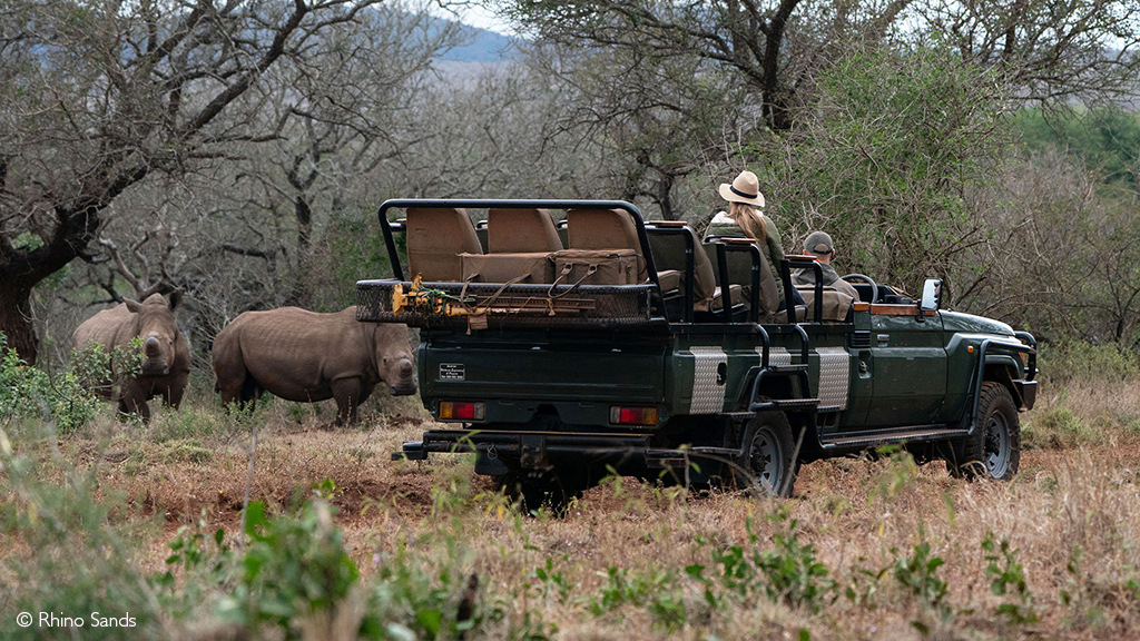 bush and beach safari African safari
