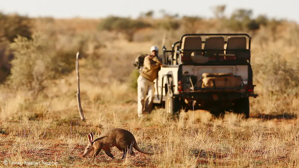 malaria-free safaris