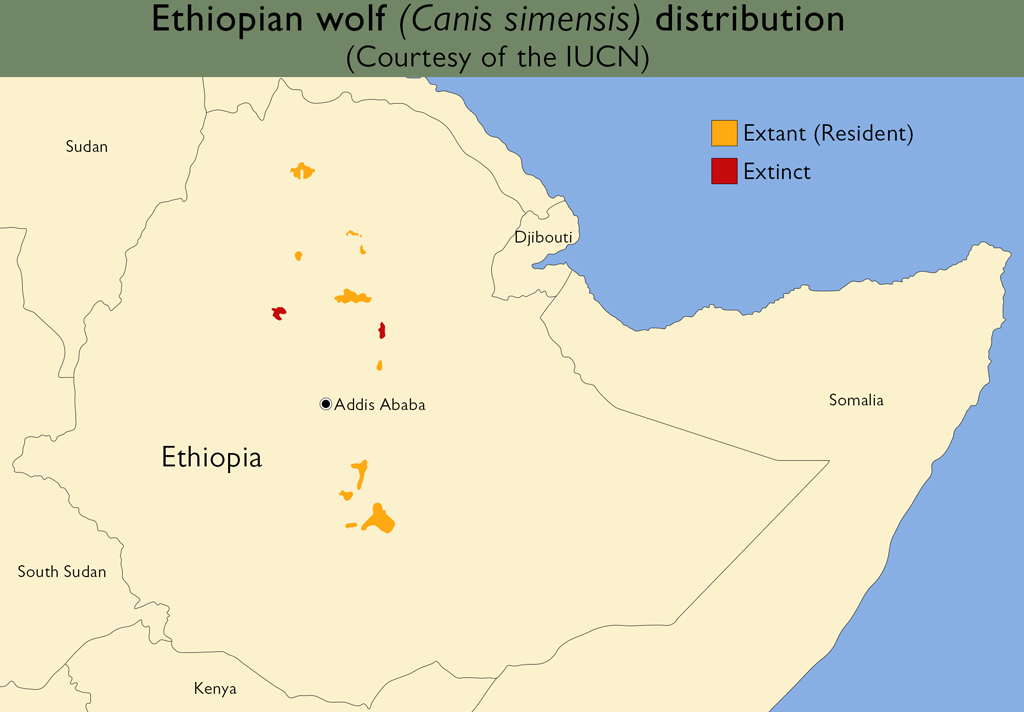 location ,size and shape of Ethiopia