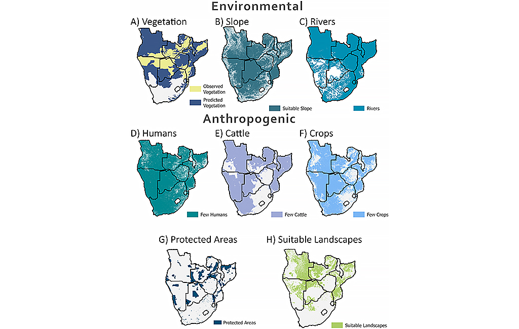 Elephant connectivity