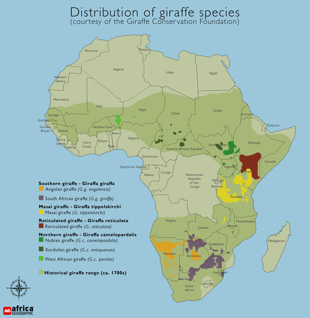 giraffes habitat map