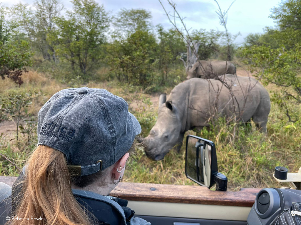 animal tourism in africa