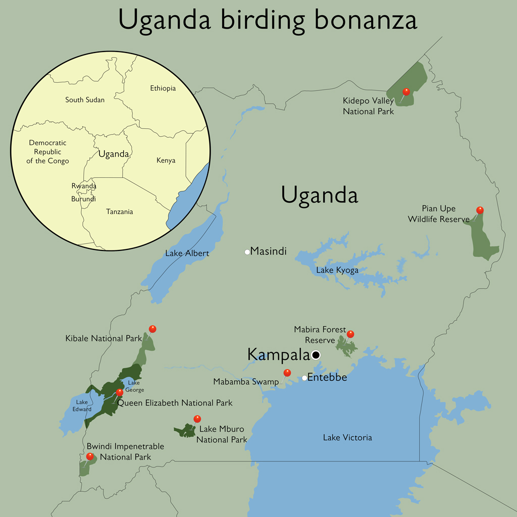 Buy Uganda Map, Map of Uganda, Ugandan Art, Uganda Poster, Uganda Wall Art,  Uganda Poster, Uganda Gifts, Uganda Decor, Ugandan, Map Art Print Online in  India 