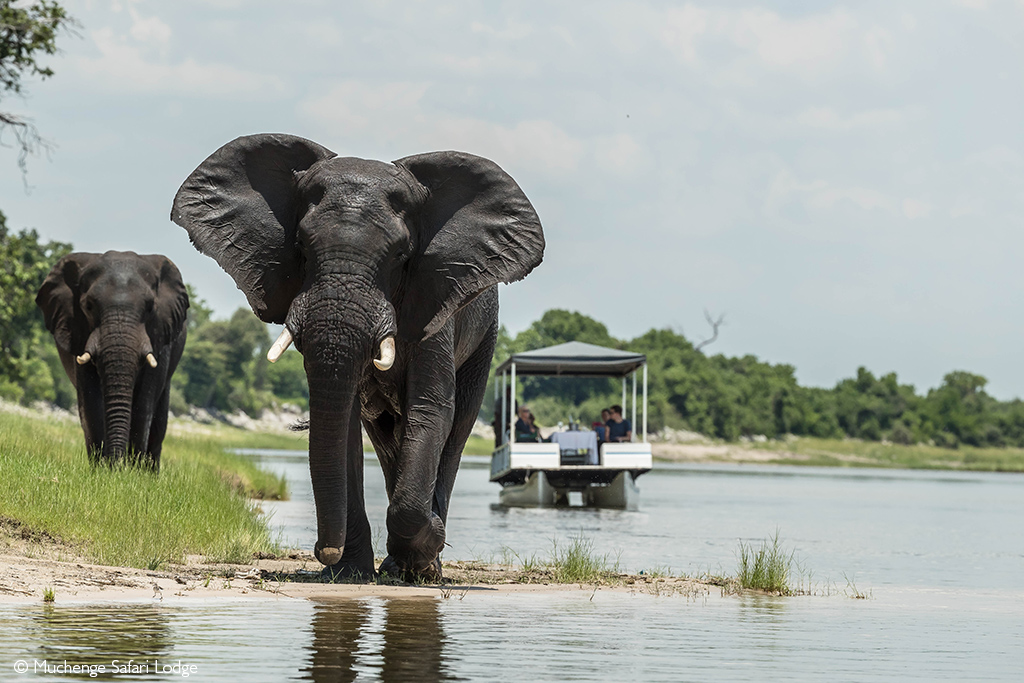 water safaris - Chobe