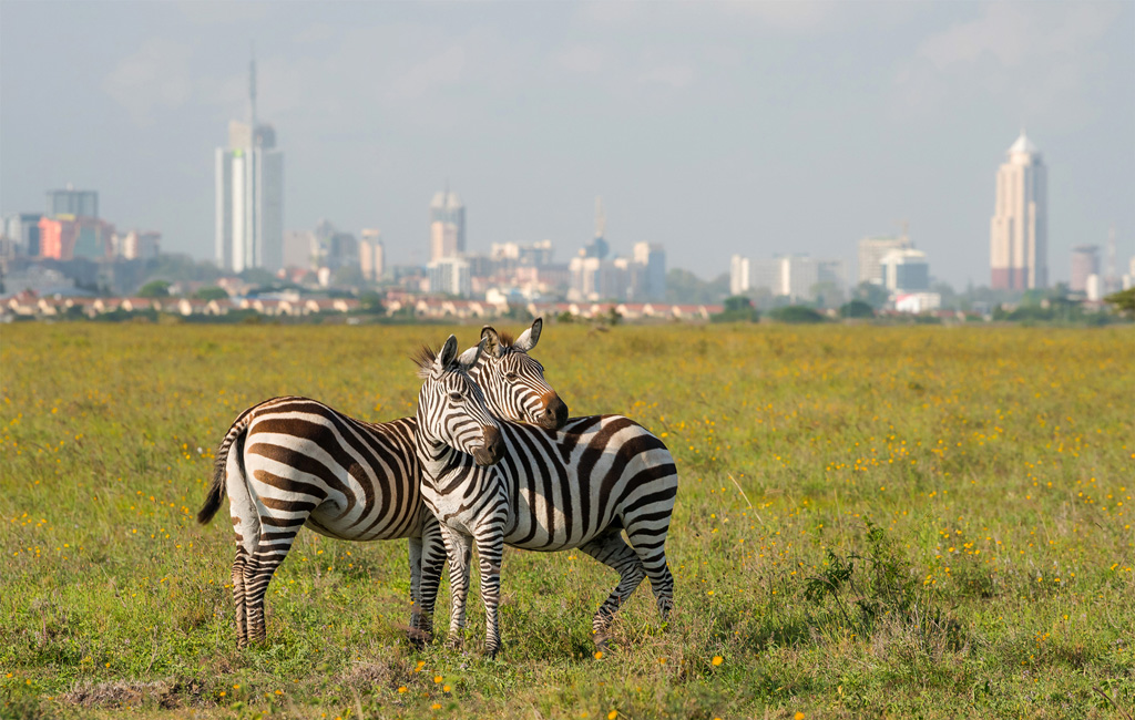 where is nairobi safari park