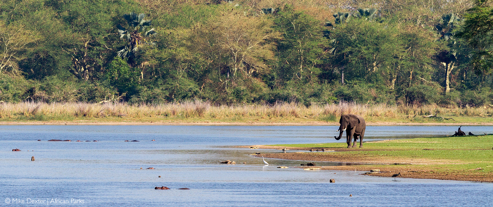 Liwonde National Park Africa Geographic