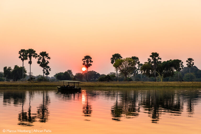 Liwonde National Park - Africa Geographic