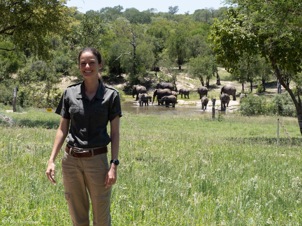 first leopard safari