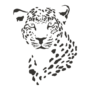 first leopard safari