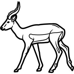 Impala - Africa Geographic