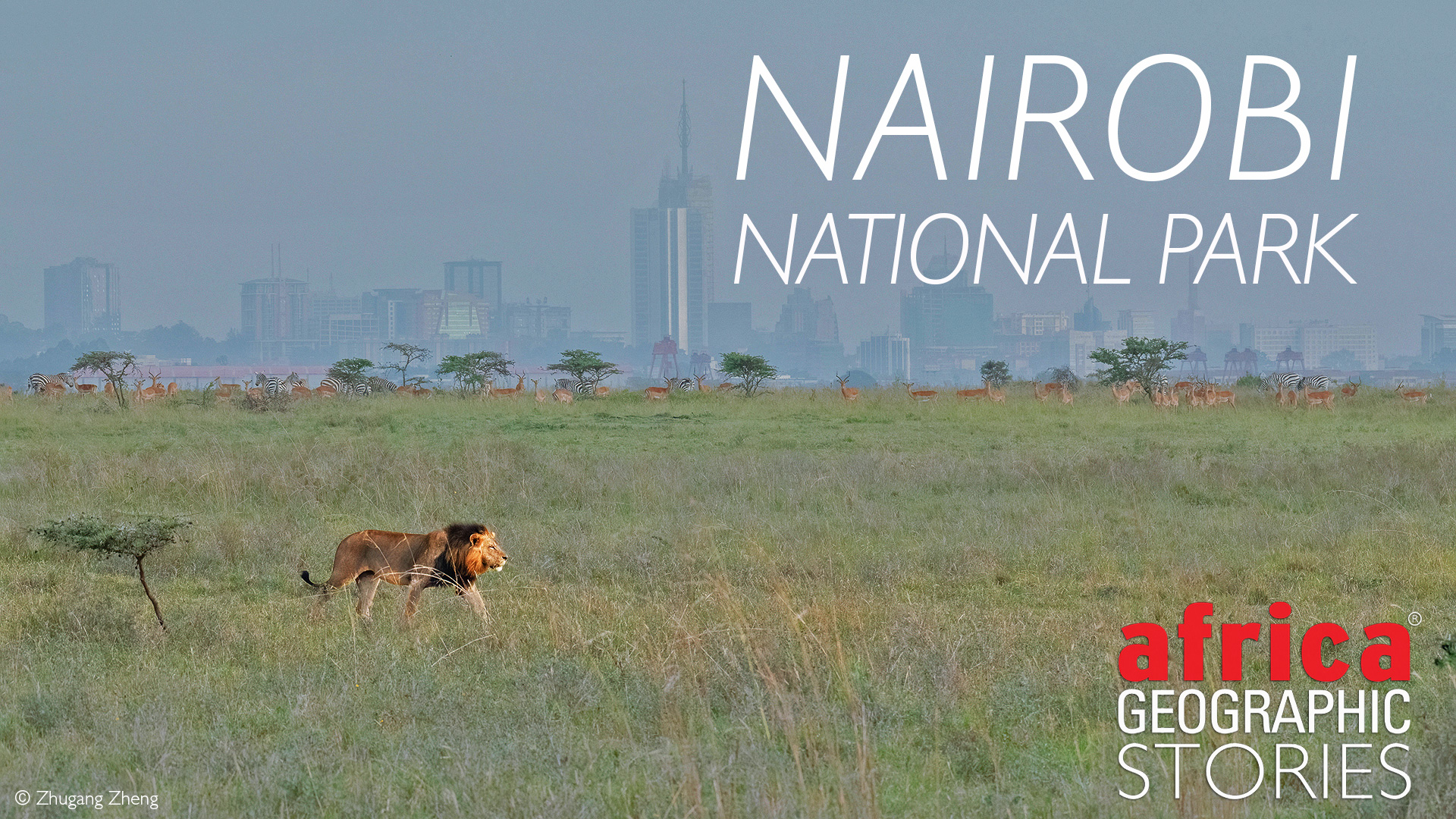 where is nairobi safari park