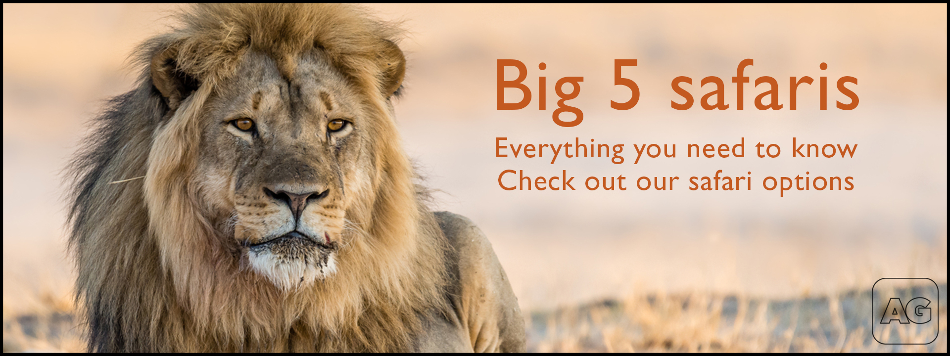 Warthog Africa Geographic