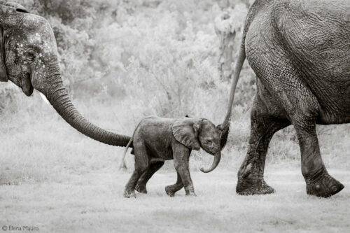 Photographer of the Year 2023 Weekly Selection: Week 4 - Africa Geographic