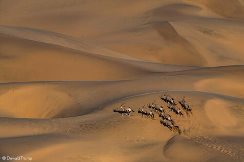 Photographer of the Year 2023 Top 101 - Gallery 3 - Africa Geographic