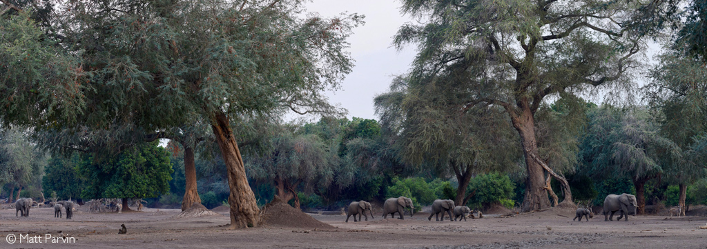 Mining in Mana Pools