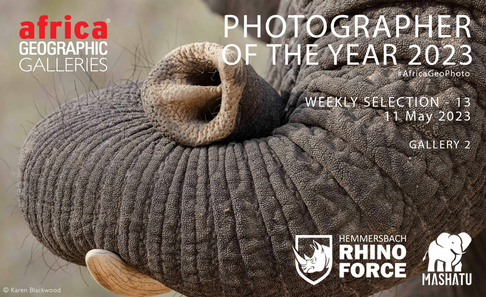 https://africageographic.com/wp-content/uploads/2023/05/cover-photographer-of-the-year-2023-week-13-2-1568x960.jpg