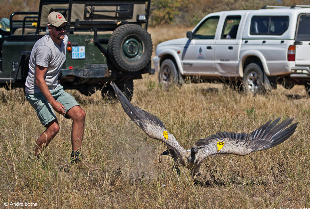 Page 2 – Africa Geographic