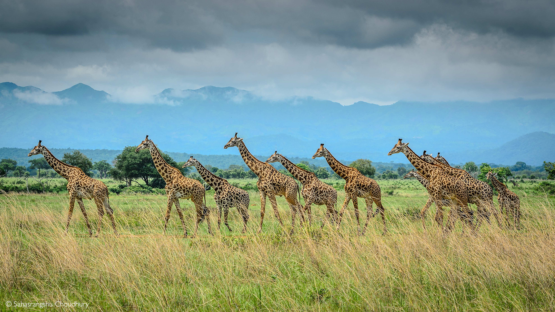 Tanzania Southern Safari Circuit