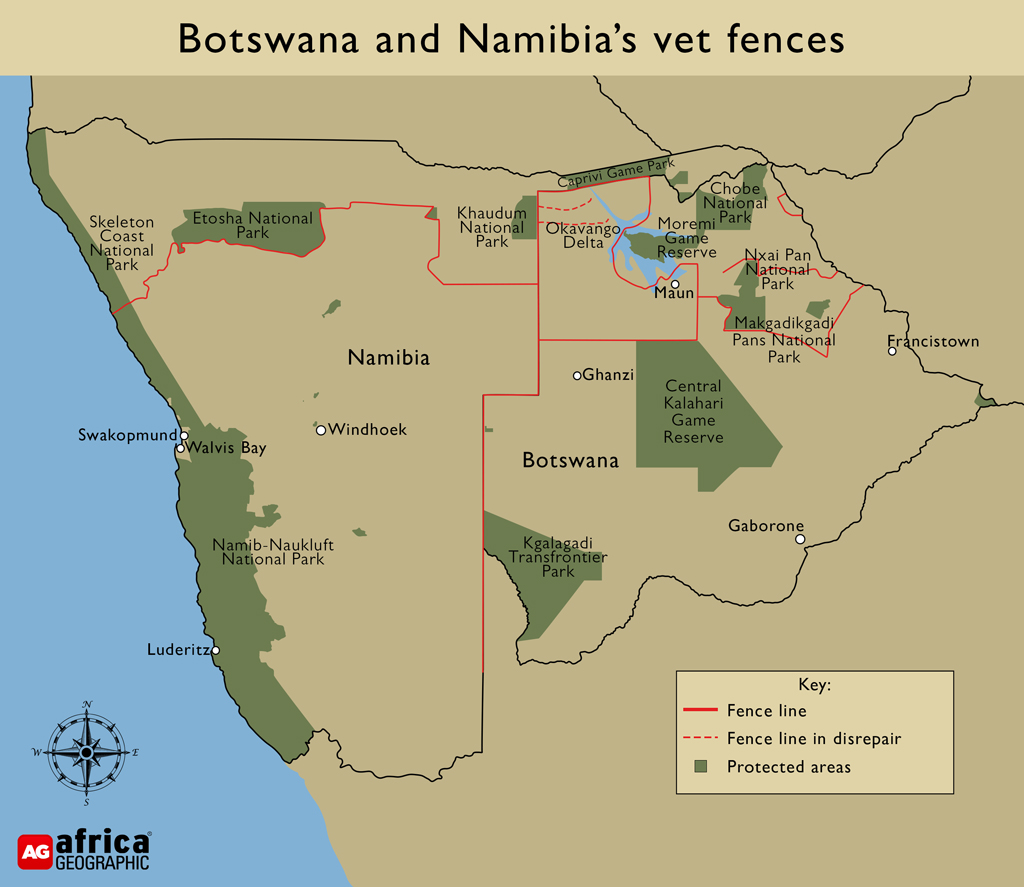 namibia vet safaris