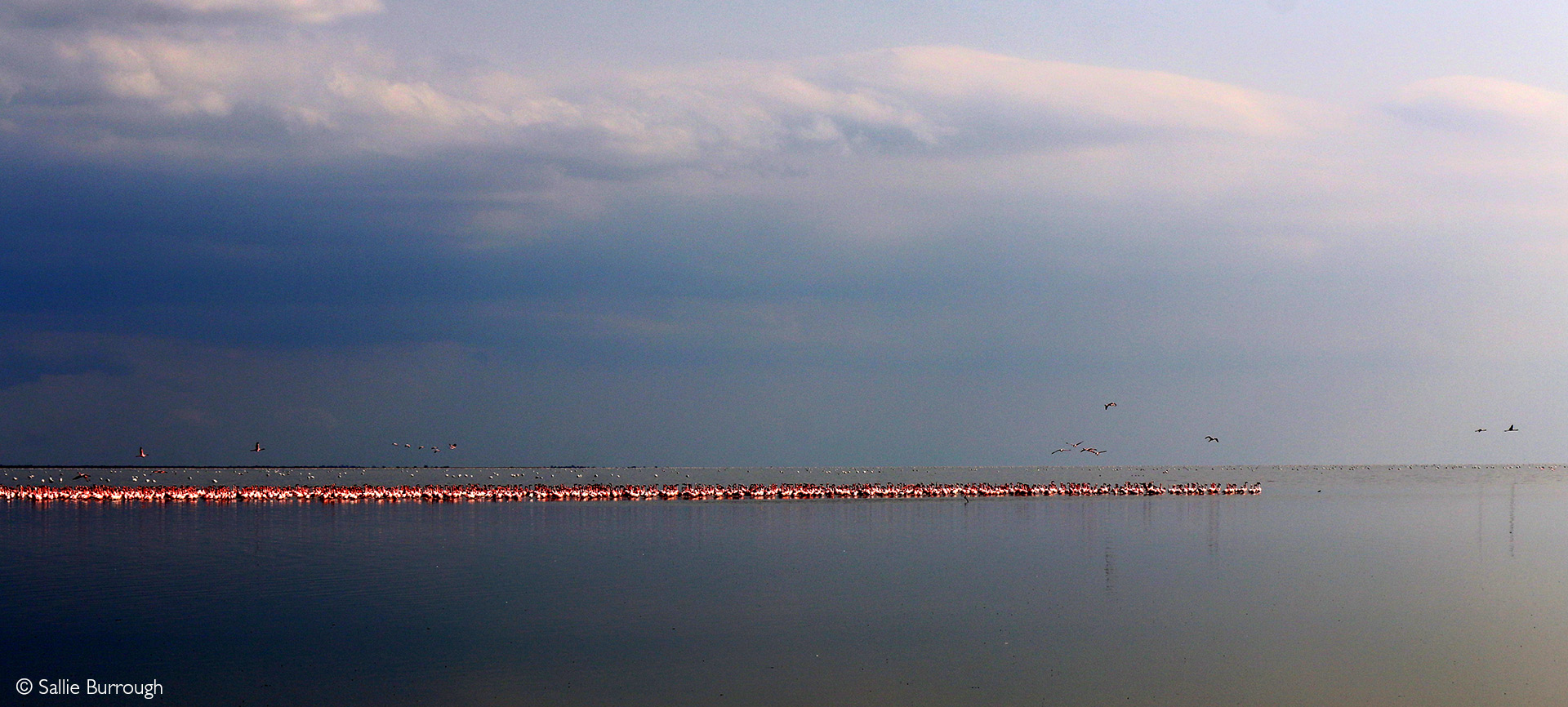 Makgadikgadi