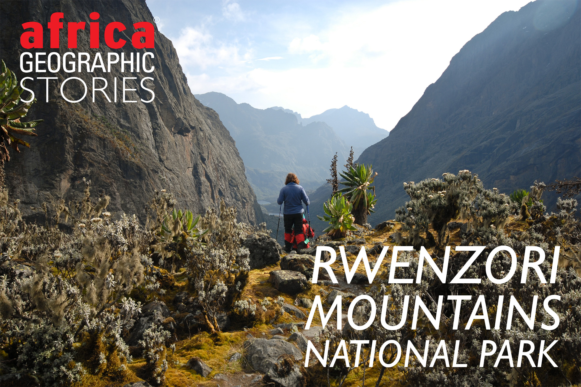 Rwenzori Mountain Peaks. Peaks of Mountain Rwenzori