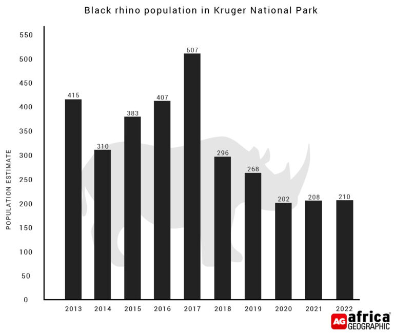 Kruger rhino population update - the losses continue - Africa Geographic