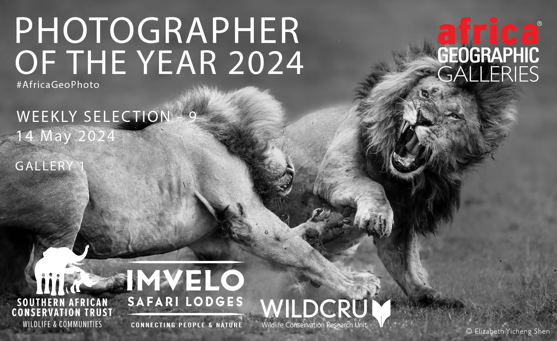 africa safaris 2024