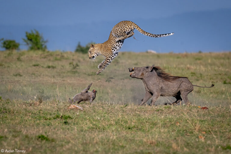 Photographer of the Year 2024 Winners - Africa Geographic