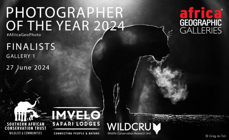 Photographer of the Year 2024 Finalists - Gallery 1 - Africa Geographic