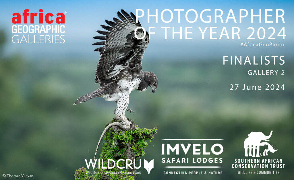 Photographer of the Year 2024 Finalists - Gallery 2 - Africa Geographic