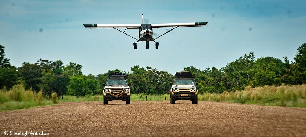 African safari