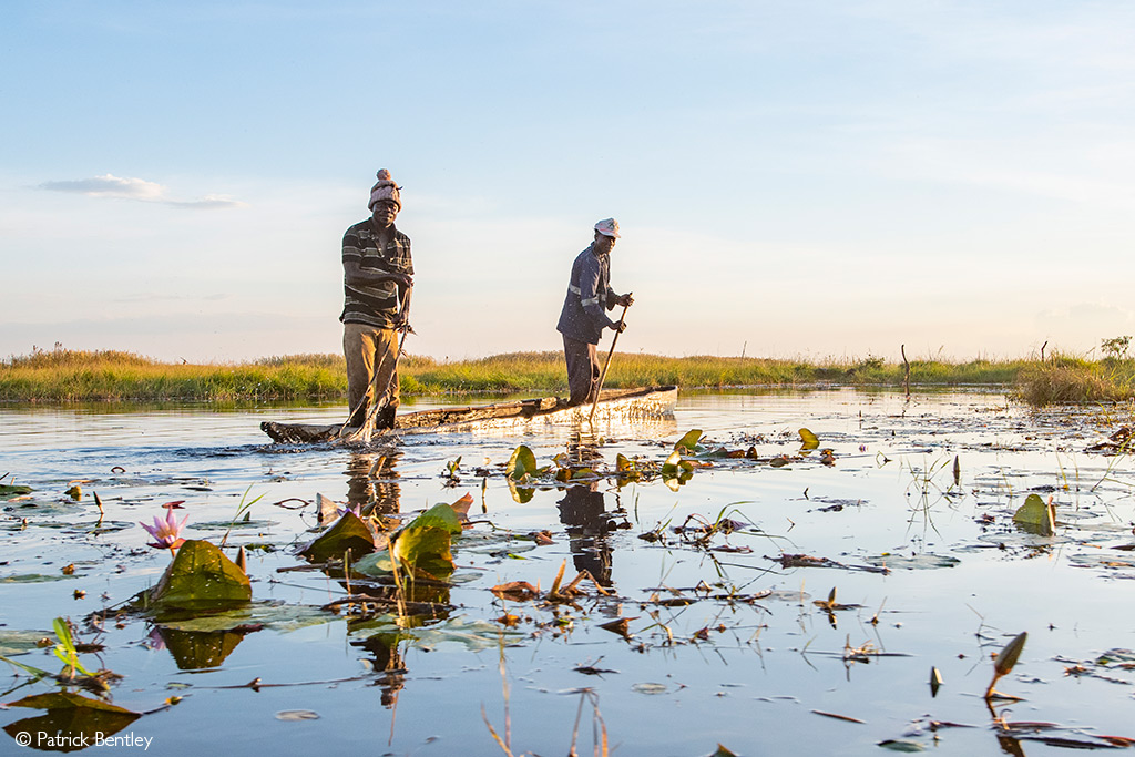 Bangweulu