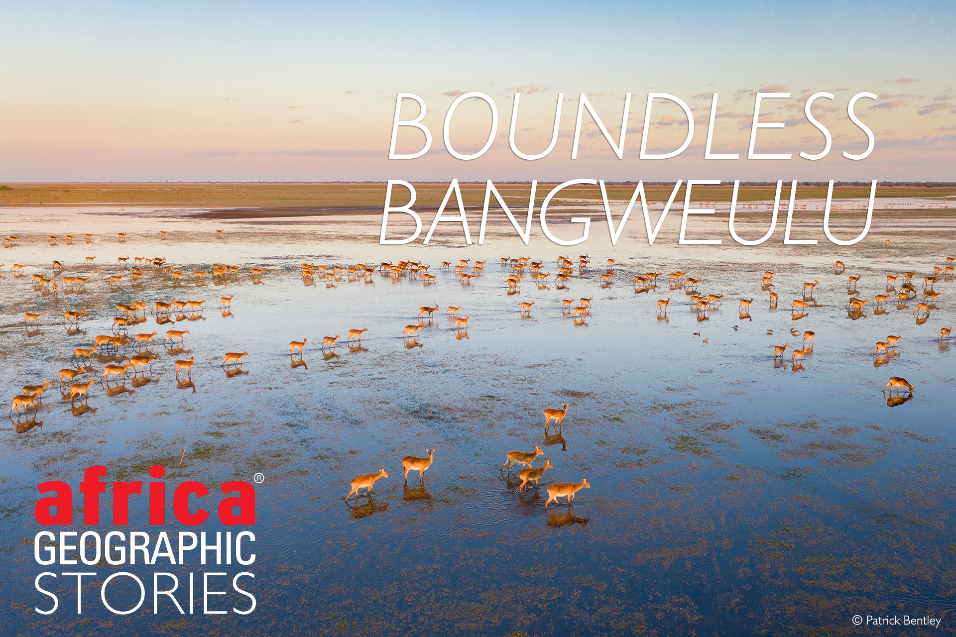 Boundless Bangweulu - Africa Geographic