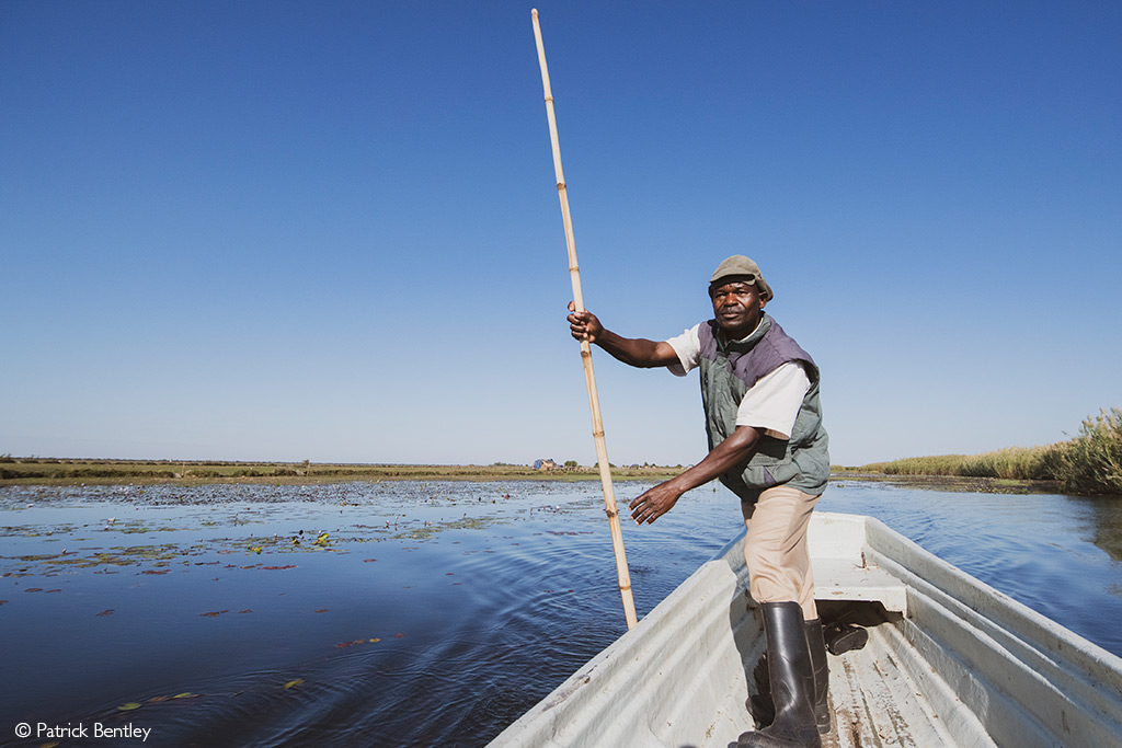 Bangweulu