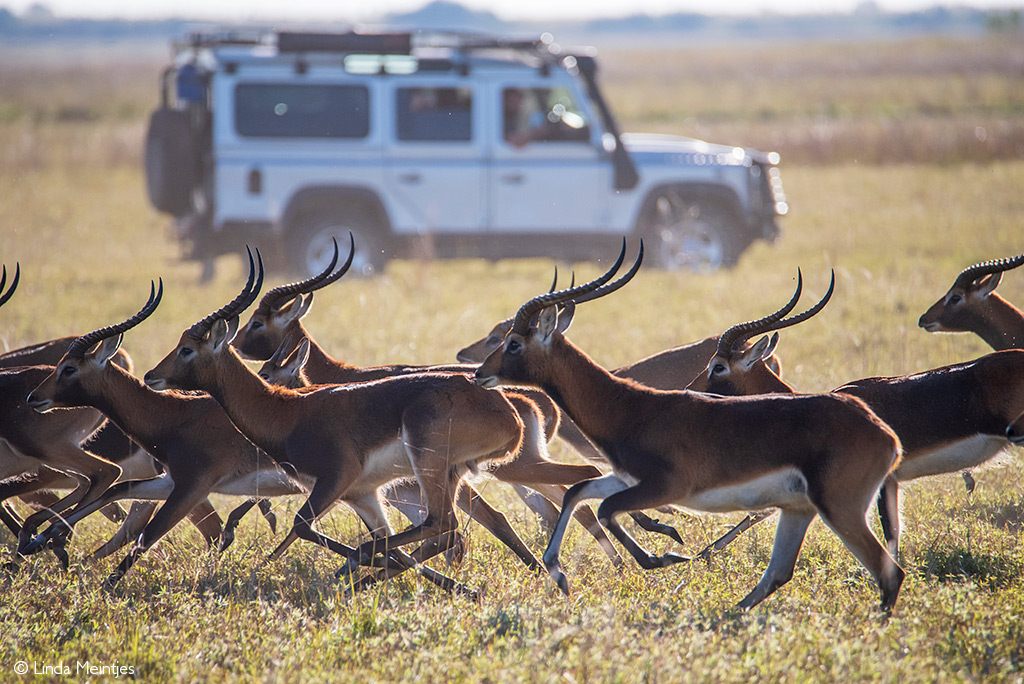 Banweulu