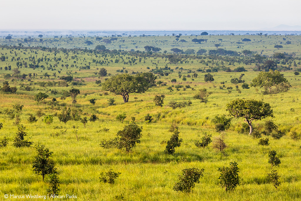 Garamba