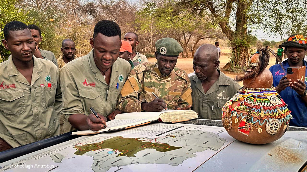 African safari Chad