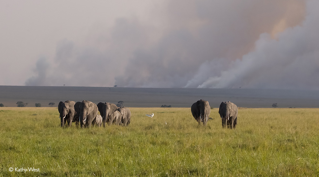 Maasai Mara