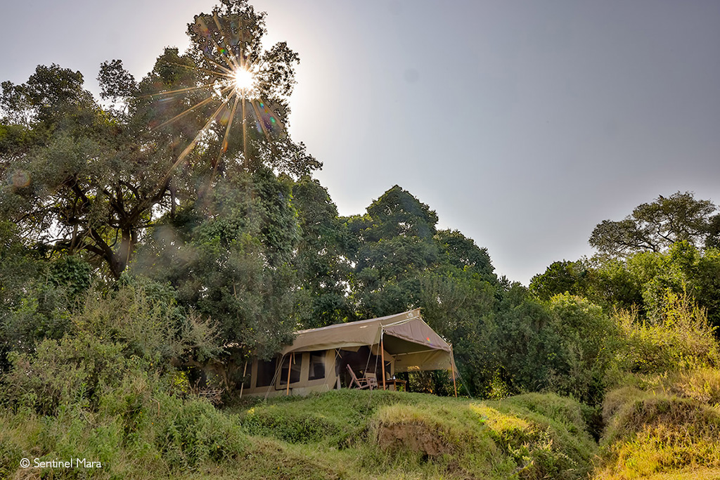 Maasai Mara